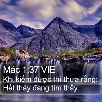 Mác 1:37 VIE Bible Verse Image