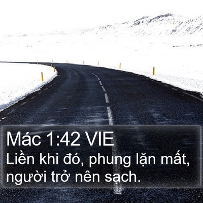Mác 1:42 VIE Bible Verse Image