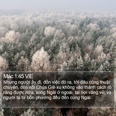 Mác 1:45 VIE Bible Verse Image
