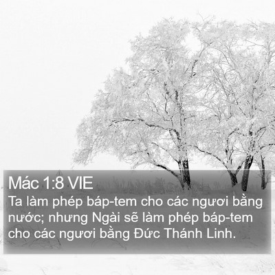 Mác 1:8 VIE Bible Verse Image