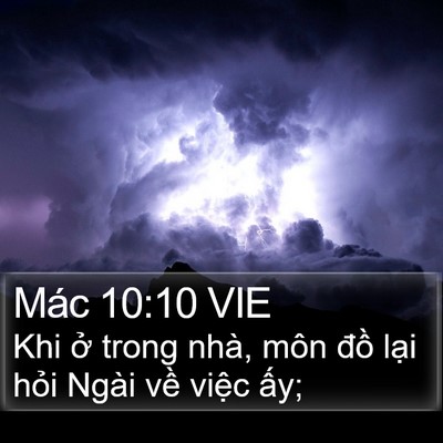 Mác 10:10 VIE Bible Verse Image