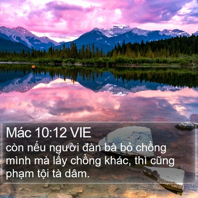 Mác 10:12 VIE Bible Verse Image