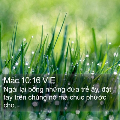 Mác 10:16 VIE Bible Verse Image