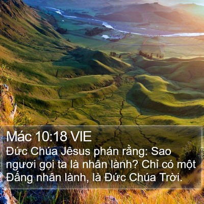Mác 10:18 VIE Bible Verse Image