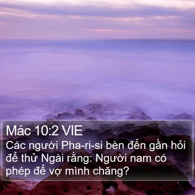 Mác 10:2 VIE Bible Verse Image