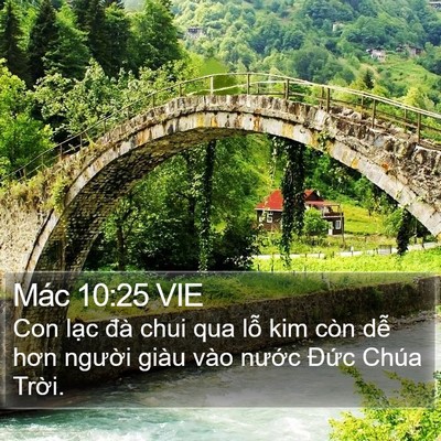 Mác 10:25 VIE Bible Verse Image