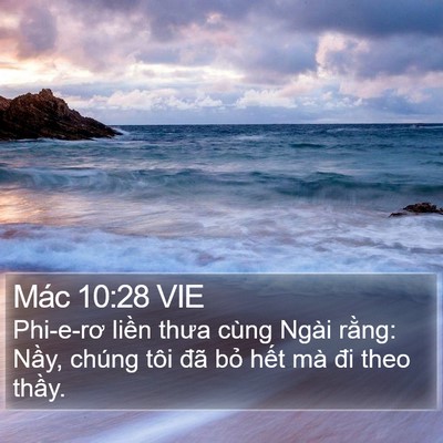 Mác 10:28 VIE Bible Verse Image
