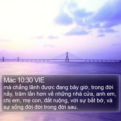 Mác 10:30 VIE Bible Verse Image