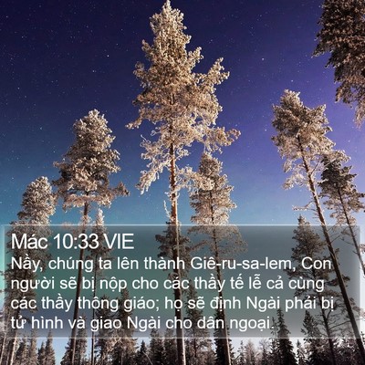 Mác 10:33 VIE Bible Verse Image