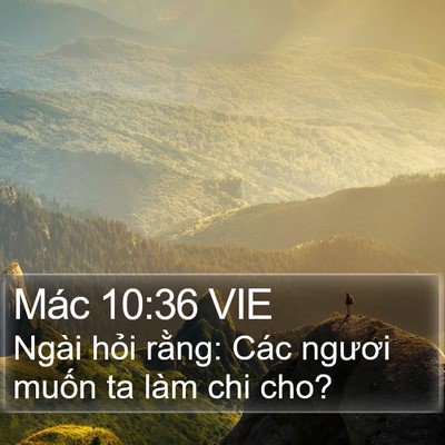 Mác 10:36 VIE Bible Verse Image