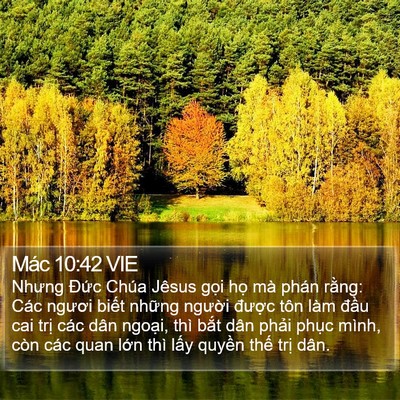Mác 10:42 VIE Bible Verse Image