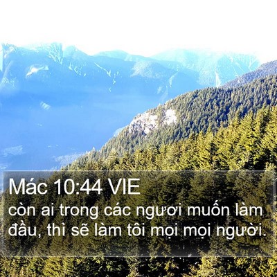 Mác 10:44 VIE Bible Verse Image