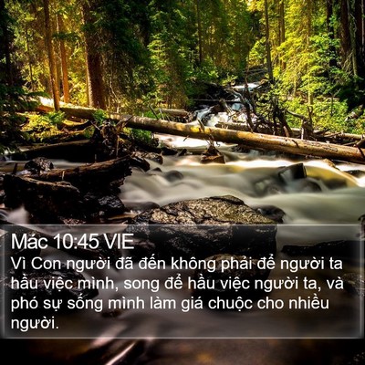 Mác 10:45 VIE Bible Verse Image
