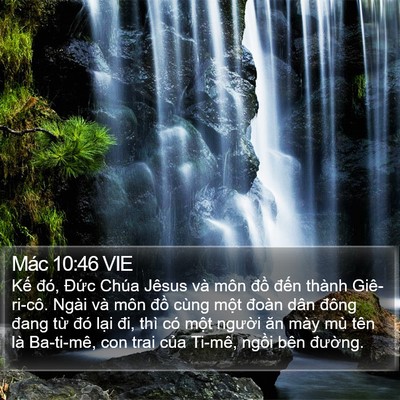 Mác 10:46 VIE Bible Verse Image