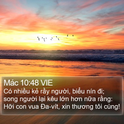 Mác 10:48 VIE Bible Verse Image