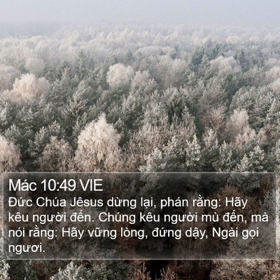 Mác 10:49 VIE Bible Verse Image