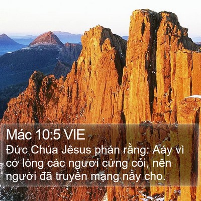 Mác 10:5 VIE Bible Verse Image