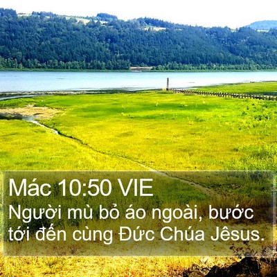 Mác 10:50 VIE Bible Verse Image
