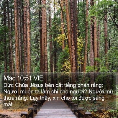 Mác 10:51 VIE Bible Verse Image
