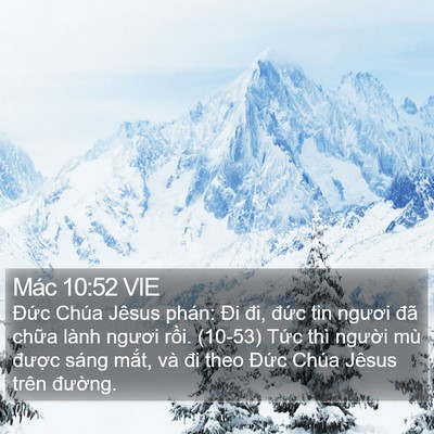 Mác 10:52 VIE Bible Verse Image