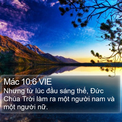 Mác 10:6 VIE Bible Verse Image