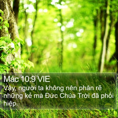 Mác 10:9 VIE Bible Verse Image