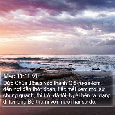 Mác 11:11 VIE Bible Verse Image