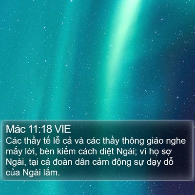 Mác 11:18 VIE Bible Verse Image