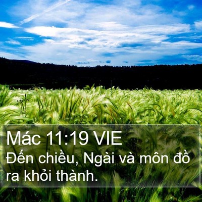 Mác 11:19 VIE Bible Verse Image