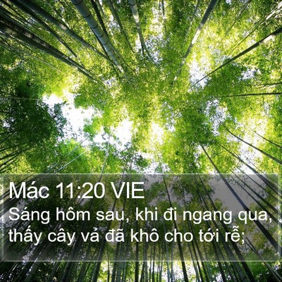 Mác 11:20 VIE Bible Verse Image