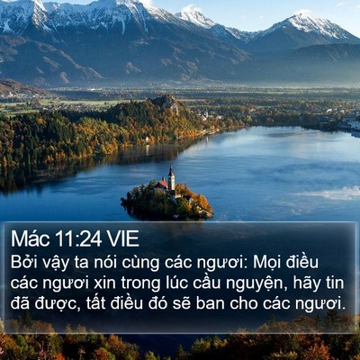 Mác 11:24 VIE Bible Verse Image