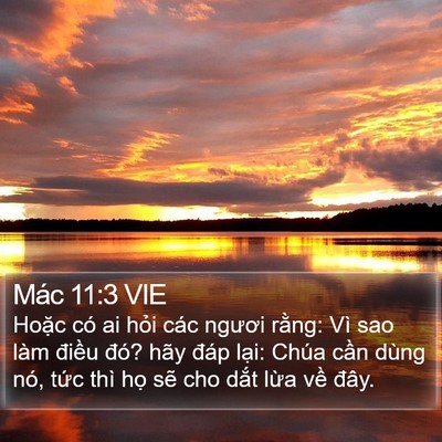 Mác 11:3 VIE Bible Verse Image