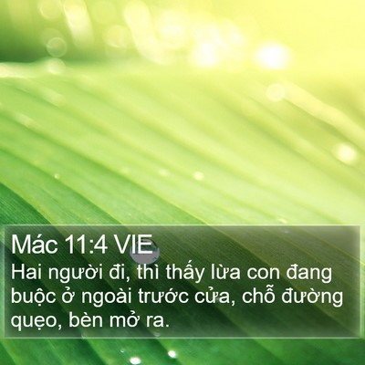 Mác 11:4 VIE Bible Verse Image