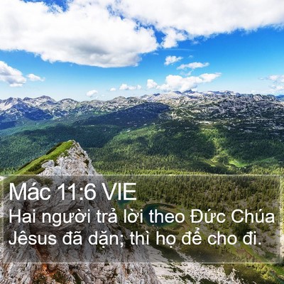 Mác 11:6 VIE Bible Verse Image