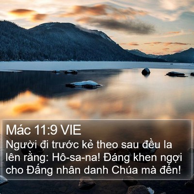 Mác 11:9 VIE Bible Verse Image