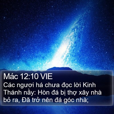 Mác 12:10 VIE Bible Verse Image