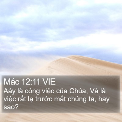Mác 12:11 VIE Bible Verse Image
