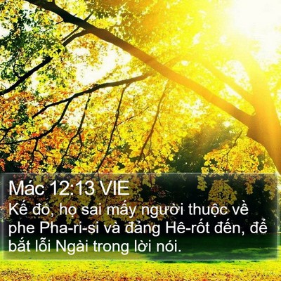 Mác 12:13 VIE Bible Verse Image