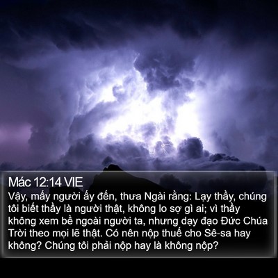 Mác 12:14 VIE Bible Verse Image