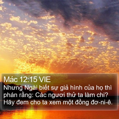 Mác 12:15 VIE Bible Verse Image