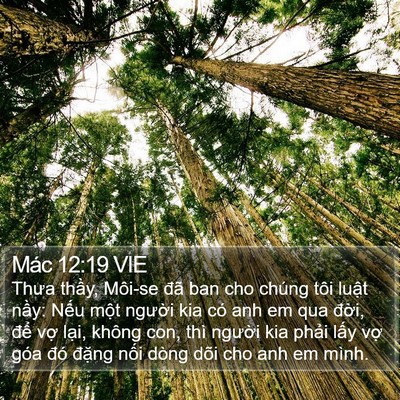 Mác 12:19 VIE Bible Verse Image