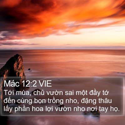 Mác 12:2 VIE Bible Verse Image