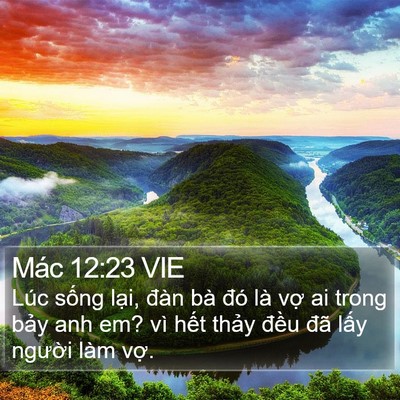 Mác 12:23 VIE Bible Verse Image