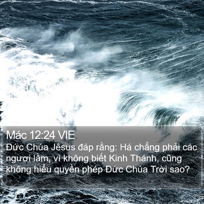 Mác 12:24 VIE Bible Verse Image