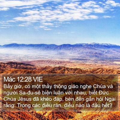 Mác 12:28 VIE Bible Verse Image