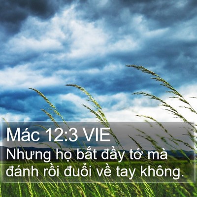 Mác 12:3 VIE Bible Verse Image