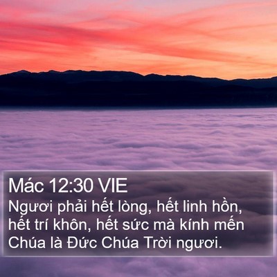Mác 12:30 VIE Bible Verse Image