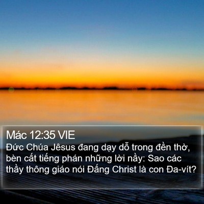 Mác 12:35 VIE Bible Verse Image