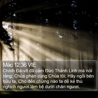 Mác 12:36 VIE Bible Verse Image