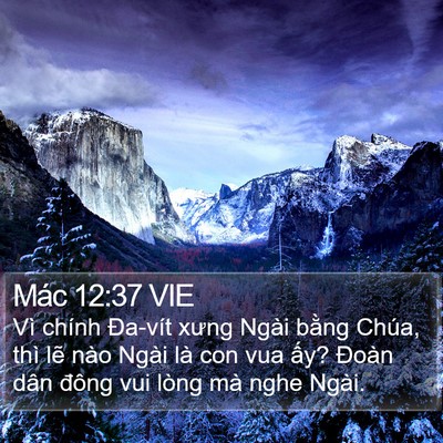 Mác 12:37 VIE Bible Verse Image